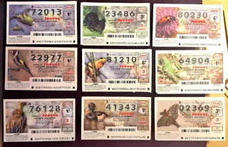 Lotería Nacional Décimos Fauna primera 156 decimos