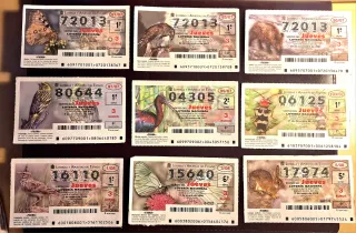 Lotería Nacional Décimos Fauna primera 156 decimos