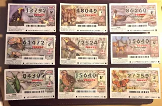 Lotería Nacional Décimos Fauna primera 156 decimos