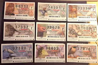 Lotería Nacional Décimos Fauna primera 156 decimos