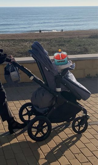 Carro + accesorios Bugaboo Fox