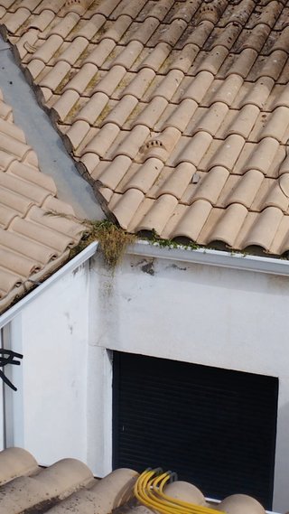 LIMPIEZA DE TEJADOS Y CANALONES