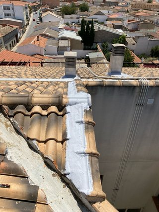 LIMPIEZA DE TEJADOS Y CANALONES
