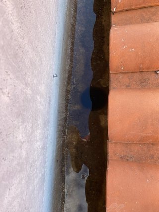 LIMPIEZA DE TEJADOS Y CANALONES