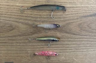 Esche da pesca
