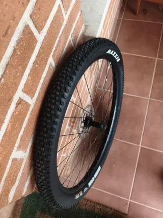 Ruota MTB 29 Maxxis Rekon Race tubeless ready Nuev