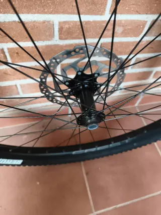 Ruota MTB 29 Maxxis Rekon Race tubeless ready Nuev