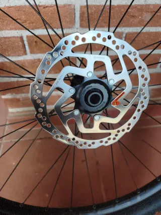 Ruota MTB 29 Maxxis Rekon Race tubeless ready Nuev