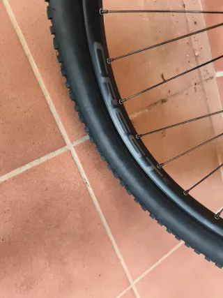 Ruota MTB 29 Maxxis Rekon Race tubeless ready Nuev