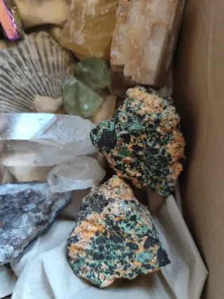 Colección de Minerales y Fósiles