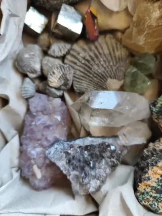 Colección de Minerales y Fósiles