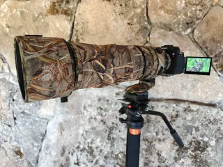 Sigma 150-600mm DG DN OS Sports Sony + funda camo