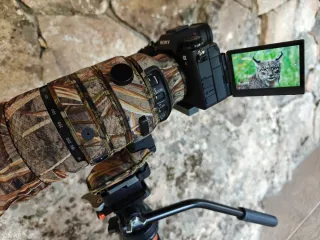 Sigma 150-600mm DG DN OS Sports Sony + funda camo