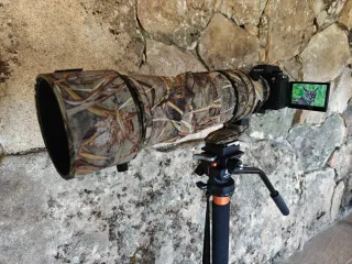 Sigma 150-600mm DG DN OS Sports Sony + funda camo