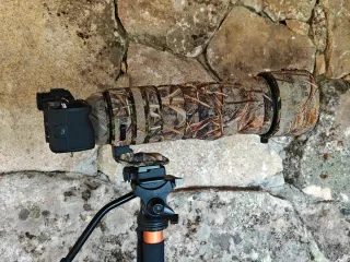 Sigma 150-600mm DG DN OS Sports Sony + funda camo