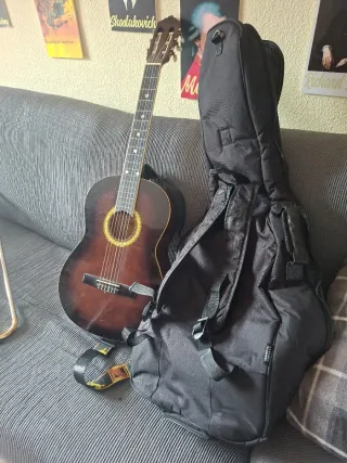 Guitarra Ashton CG44TP