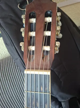 Guitarra Ashton CG44TP