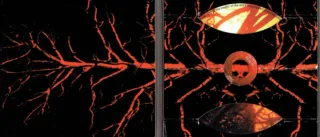 Neurosis