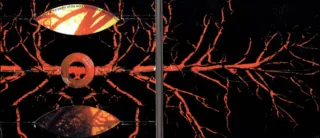 Neurosis
