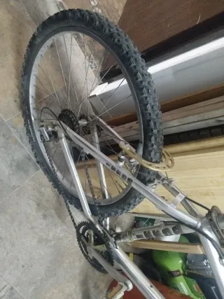 Bicicleta de montaña plateada