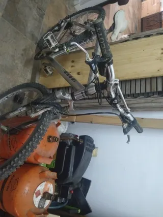 Bicicleta de montaña plateada