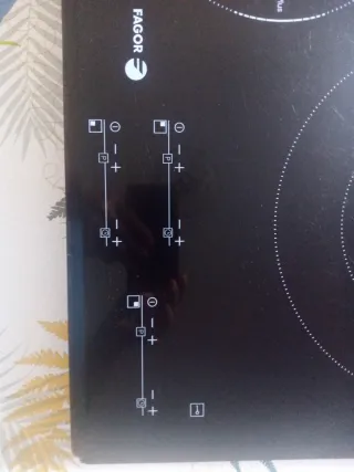 Placa vitrocerámica Fagor