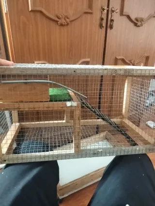 Jaula con ruedas para hamster/roedores