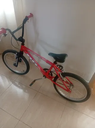 Bmx bh shark
