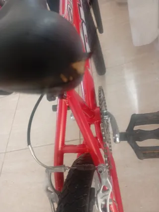 Bmx bh shark