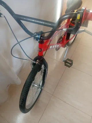 Bmx bh shark