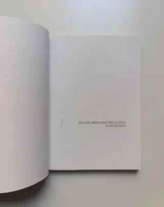 El camino de Santiago. Una visión histórica...
