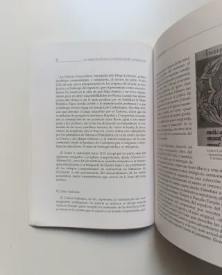 El camino de Santiago. Una visión histórica...