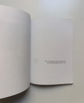 El camino de Santiago. Una visión histórica...