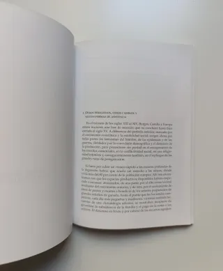 El camino de Santiago. Una visión histórica...