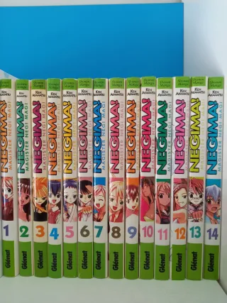 Negima! Magister Negi Magi 1-14