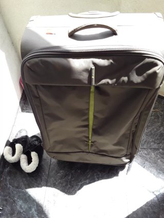 Maleta Delsey Verde Oliva