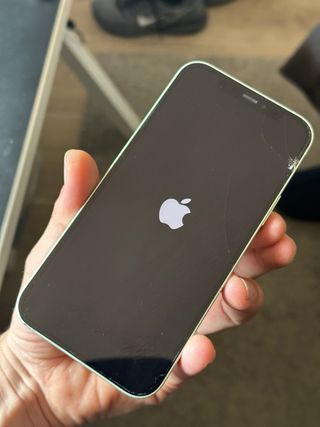iPhone 12 Verde
