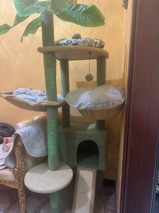 Albero tiragraffi per gatti