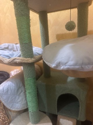 Albero tiragraffi per gatti