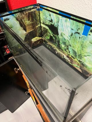 Acuario con mueble negro