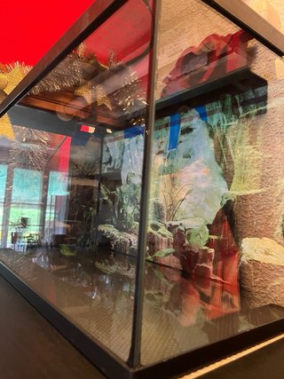 Acuario con mueble negro
