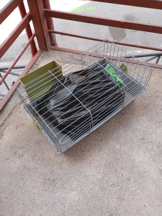 Jaula conejo con comedero y pienso