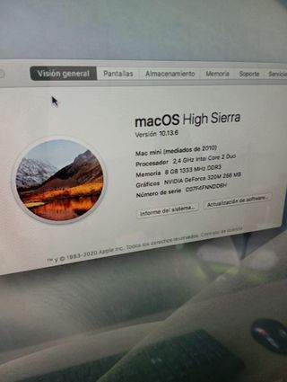 Mac mini 2010 + Monitor Apple