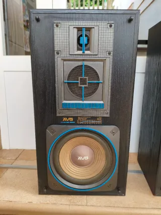 Altavoces AVG SN300P