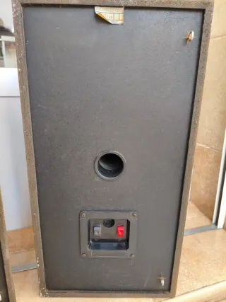 Altavoces AVG SN300P