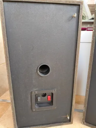 Altavoces AVG SN300P