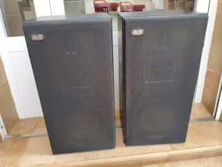Altavoces AVG SN300P