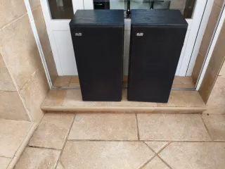 Altavoces AVG SN300P