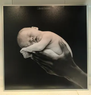 Cuadro Bebé Anne Geddes