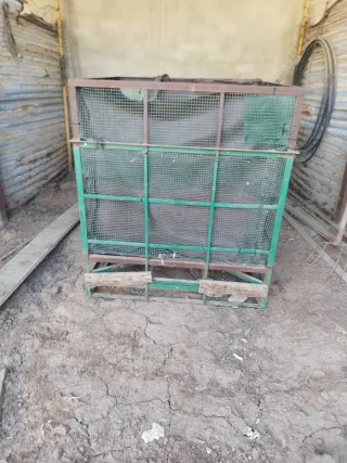 Contenedor aceitunas verdeo